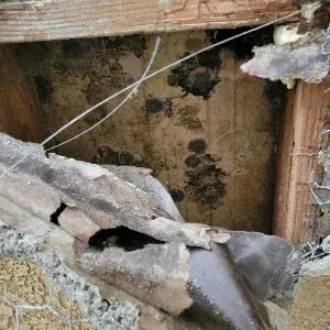 Exposed framing and removed finishes during Mount Washington water damage reconstruction